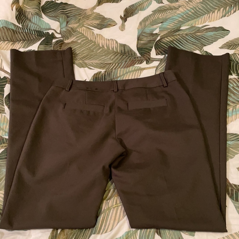 Express Dress Pants - Picture 3 of 3